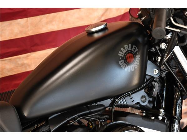 2019 HARLEY-DAVIDSON SPORTSTER XL883N IRON
