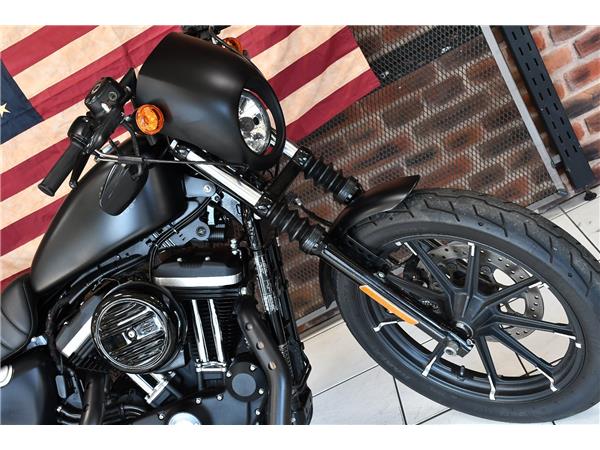 2019 HARLEY-DAVIDSON SPORTSTER XL883N IRON