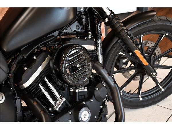 2019 HARLEY-DAVIDSON SPORTSTER XL883N IRON