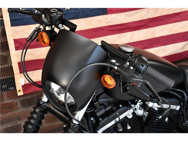 2019 HARLEY-DAVIDSON SPORTSTER XL883N IRON