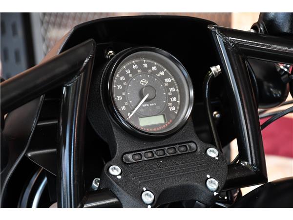 2019 HARLEY-DAVIDSON SPORTSTER XL883N IRON