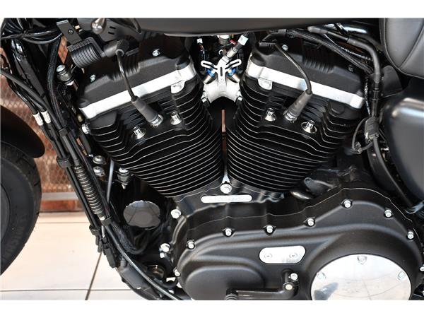 2019 HARLEY-DAVIDSON SPORTSTER XL883N IRON