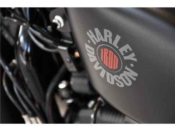 2019 HARLEY-DAVIDSON SPORTSTER XL883N IRON