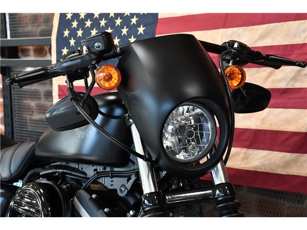 2019 HARLEY-DAVIDSON SPORTSTER XL883N IRON