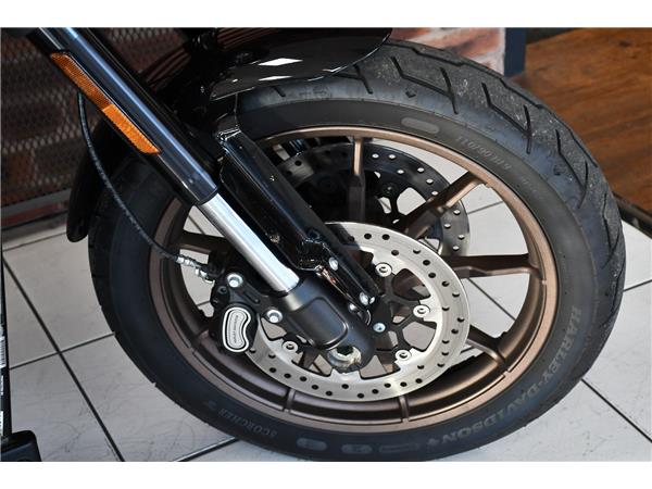 2022 HARLEY-DAVIDSON SOFTAIL FXLRS LOW RIDER S
