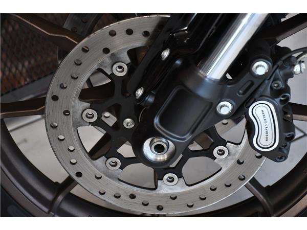 2022 HARLEY-DAVIDSON SOFTAIL FXLRS LOW RIDER S