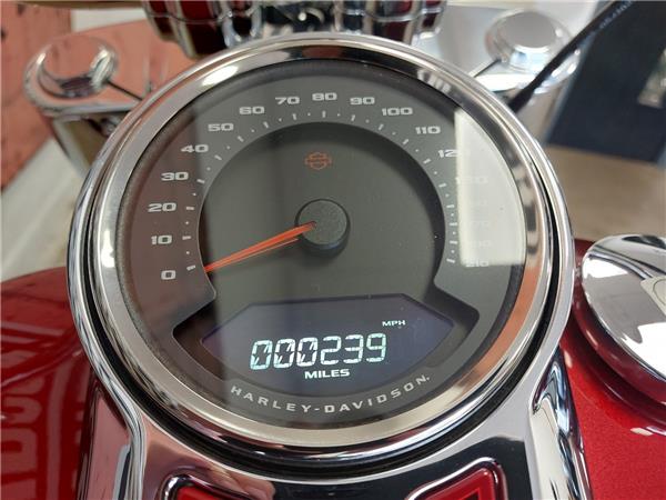 2023 HARLEY-DAVIDSON SOFTAIL FLSB FAT BOY 114 120th ANNIVERSARY