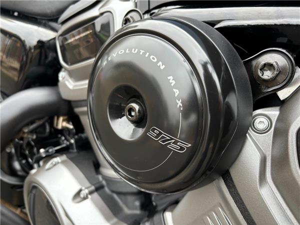 2024 HARLEY-DAVIDSON NIGHTSTER SPECIAL