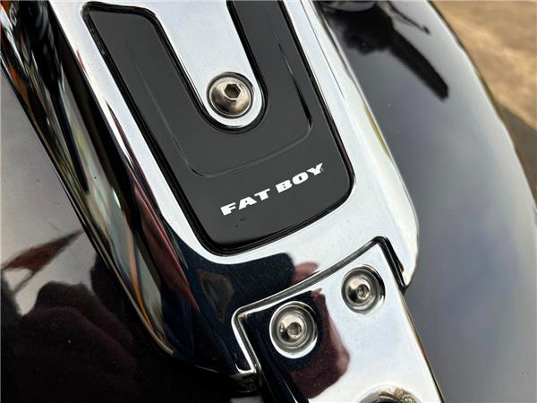 2022 HARLEY-DAVIDSON FAT BOY 114