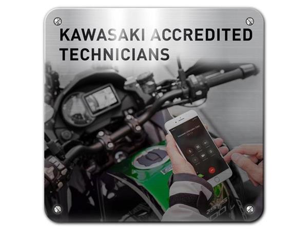2024 Kawasaki Z125