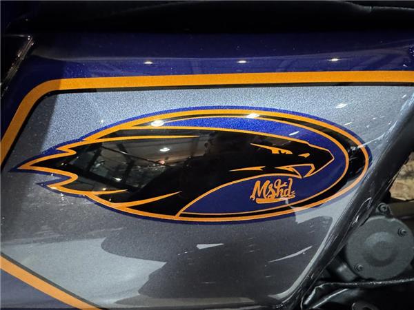 2023 Harley-Davidson Touring