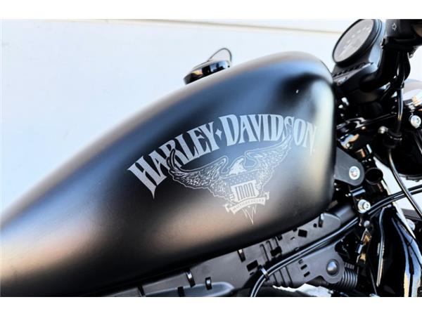 2017 Iron 883