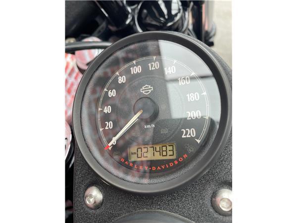 2016 HARLEY-DAVIDSON Dyna FXDLS Dyna Low Rider S