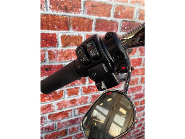 2022 HARLEY-DAVIDSON Softail FLFBS Fat Boy 114