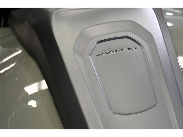 2021 Pan America 1250 Special