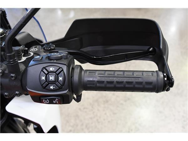 2021 Pan America 1250 Special
