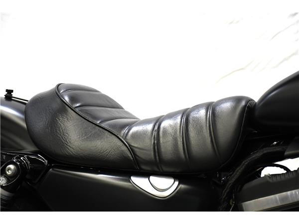 2020 Iron 883
