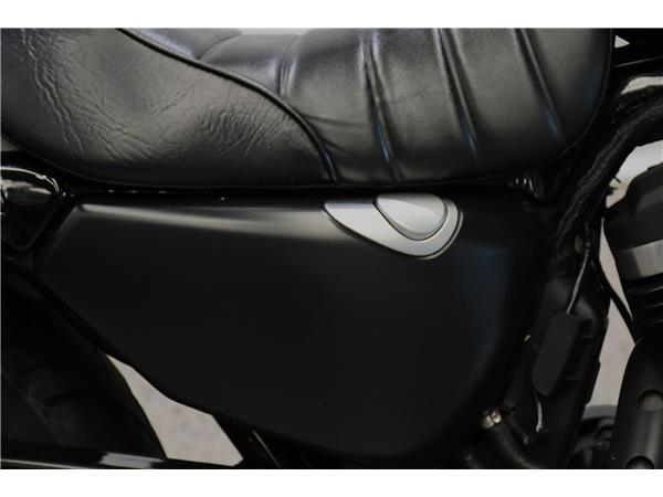 2020 Iron 883