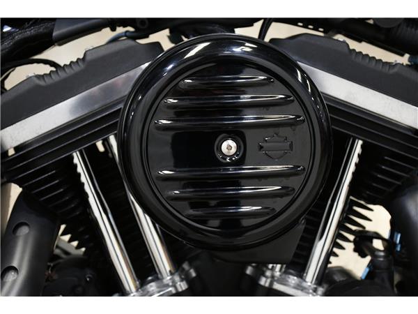 2020 Iron 883