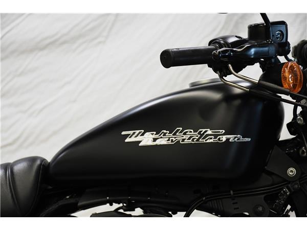 2020 Iron 883