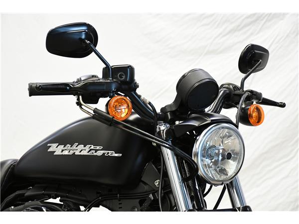 2020 Iron 883
