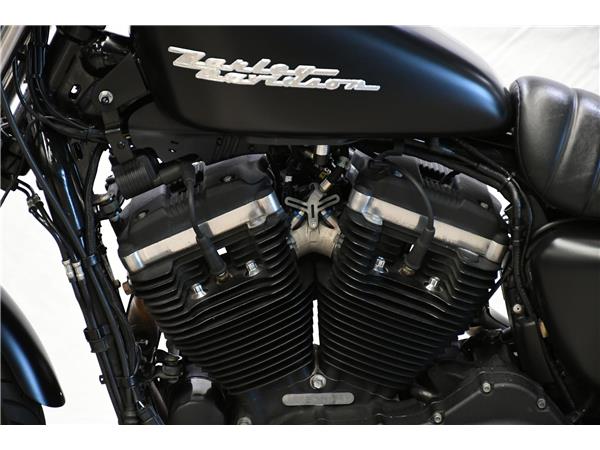 2020 Iron 883