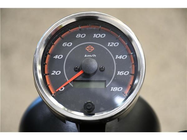 2024 Harley-Davidson X500