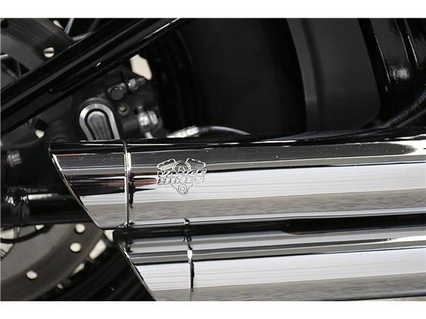 2021 Softail Slim