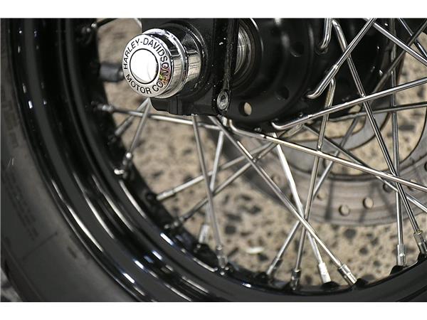 2021 Softail Slim