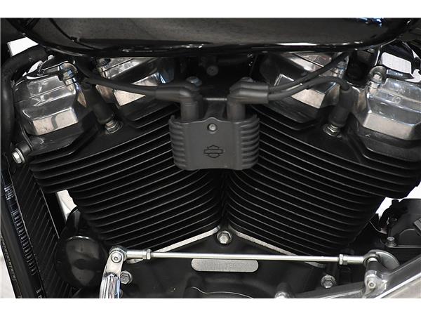 2021 Softail Slim
