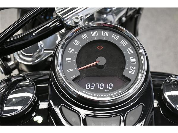2021 Softail Slim