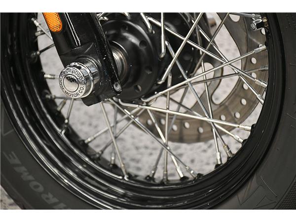 2021 Softail Slim