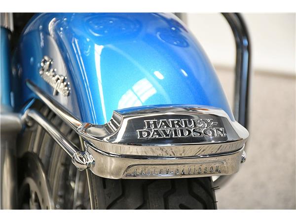 2021 Electra Glide Revival