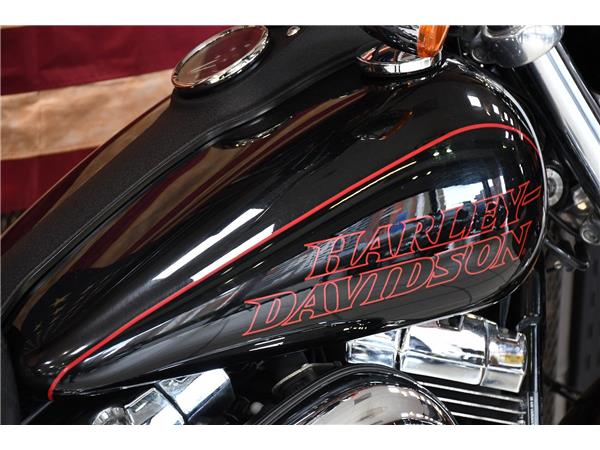 2015 HARLEY-DAVIDSON DYNA FXDL LOW RIDER