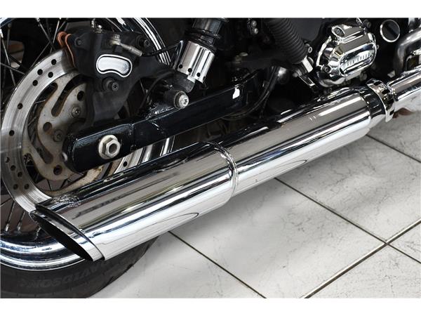 2015 HARLEY-DAVIDSON DYNA FXDL LOW RIDER