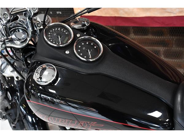 2015 HARLEY-DAVIDSON DYNA FXDL LOW RIDER