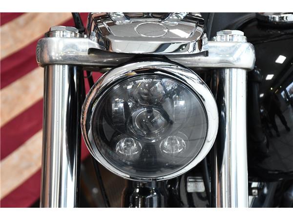 2015 HARLEY-DAVIDSON DYNA FXDL LOW RIDER