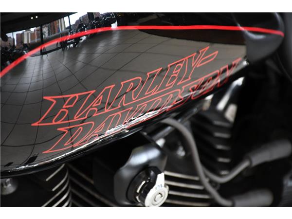 2015 HARLEY-DAVIDSON DYNA FXDL LOW RIDER