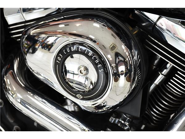 2015 HARLEY-DAVIDSON DYNA FXDL LOW RIDER