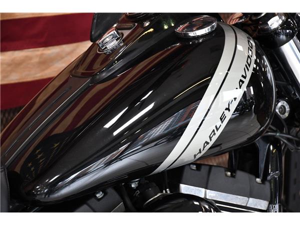 2017 HARLEY-DAVIDSON DYNA FXDF FAT BOB