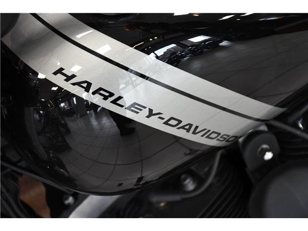 2017 HARLEY-DAVIDSON DYNA FXDF FAT BOB