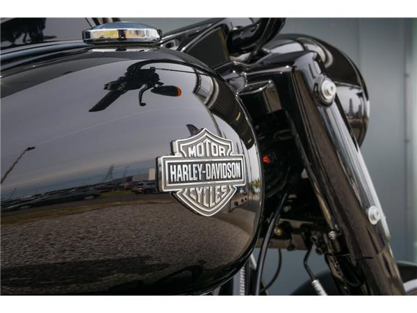 2024 Harley-Davidson Road King Special