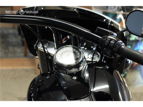 2019 HARLEY-DAVIDSON HERITAGE SOFTAIL CLASSIC 114ci 