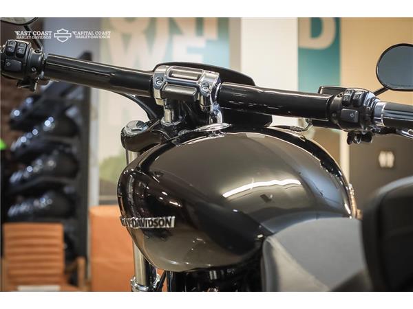 2019 HARLEY-DAVIDSON FXBRS BREAKOUT 114ci