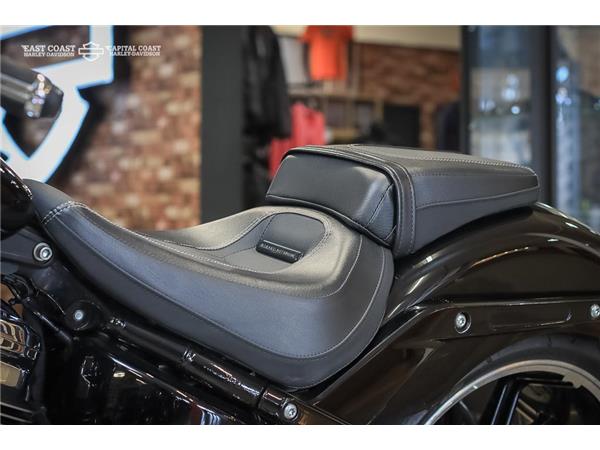 2019 HARLEY-DAVIDSON FXBRS BREAKOUT 114ci