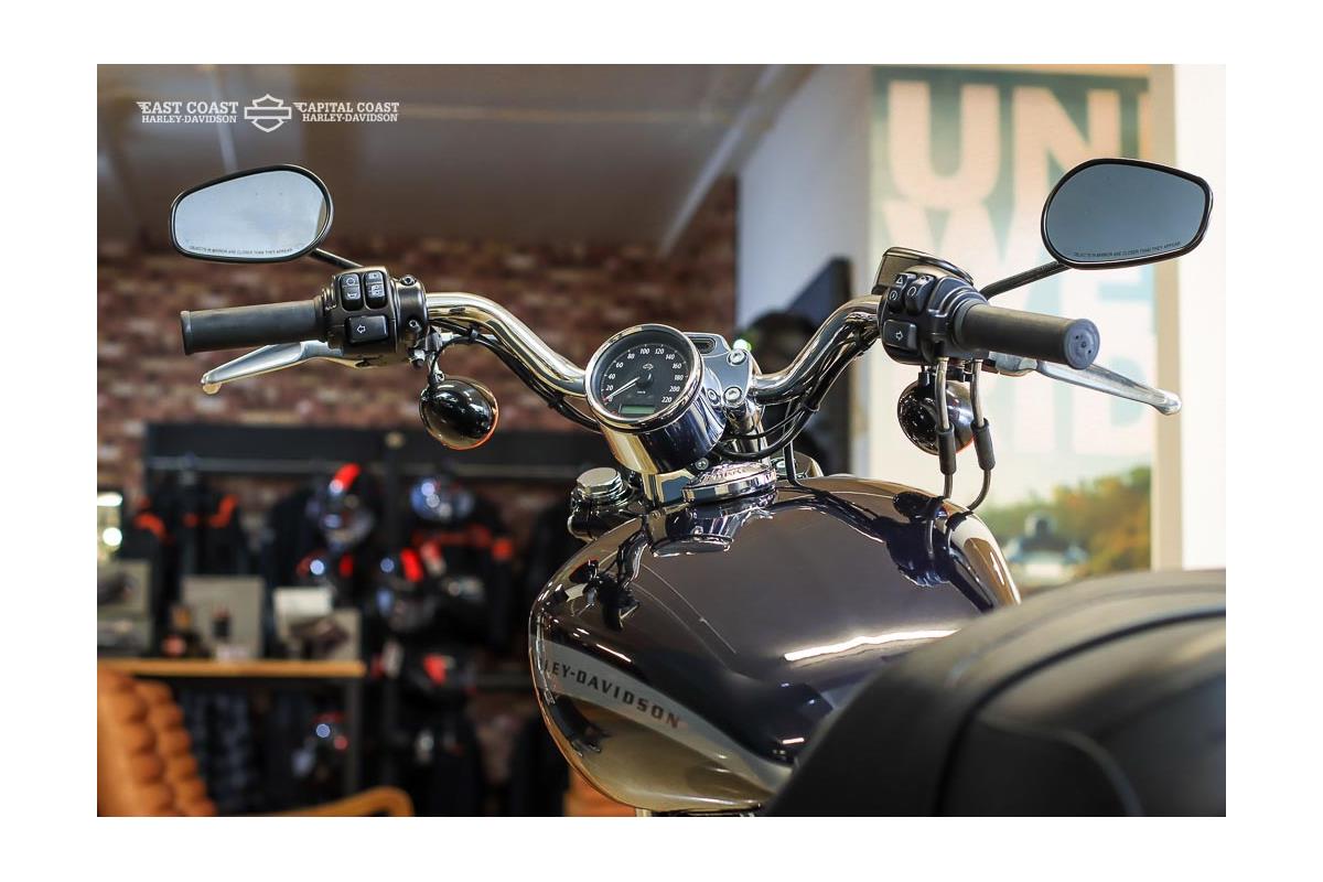 2020 HARLEY-DAVIDSON SPORTSTER 1200 CUSTOM