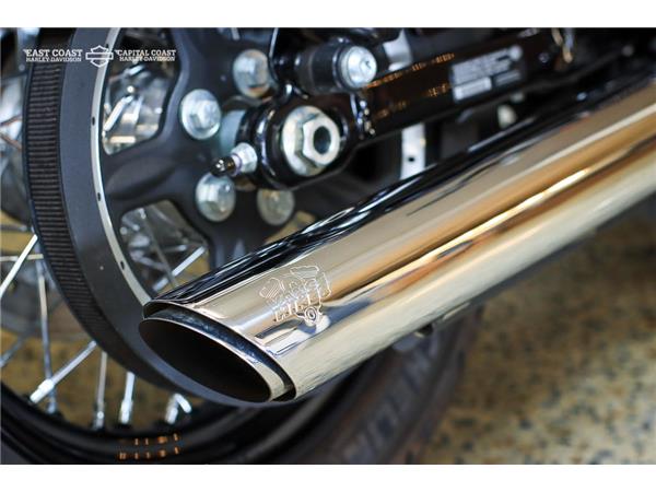 2020 HARLEY-DAVIDSON SPORTSTER 1200 CUSTOM