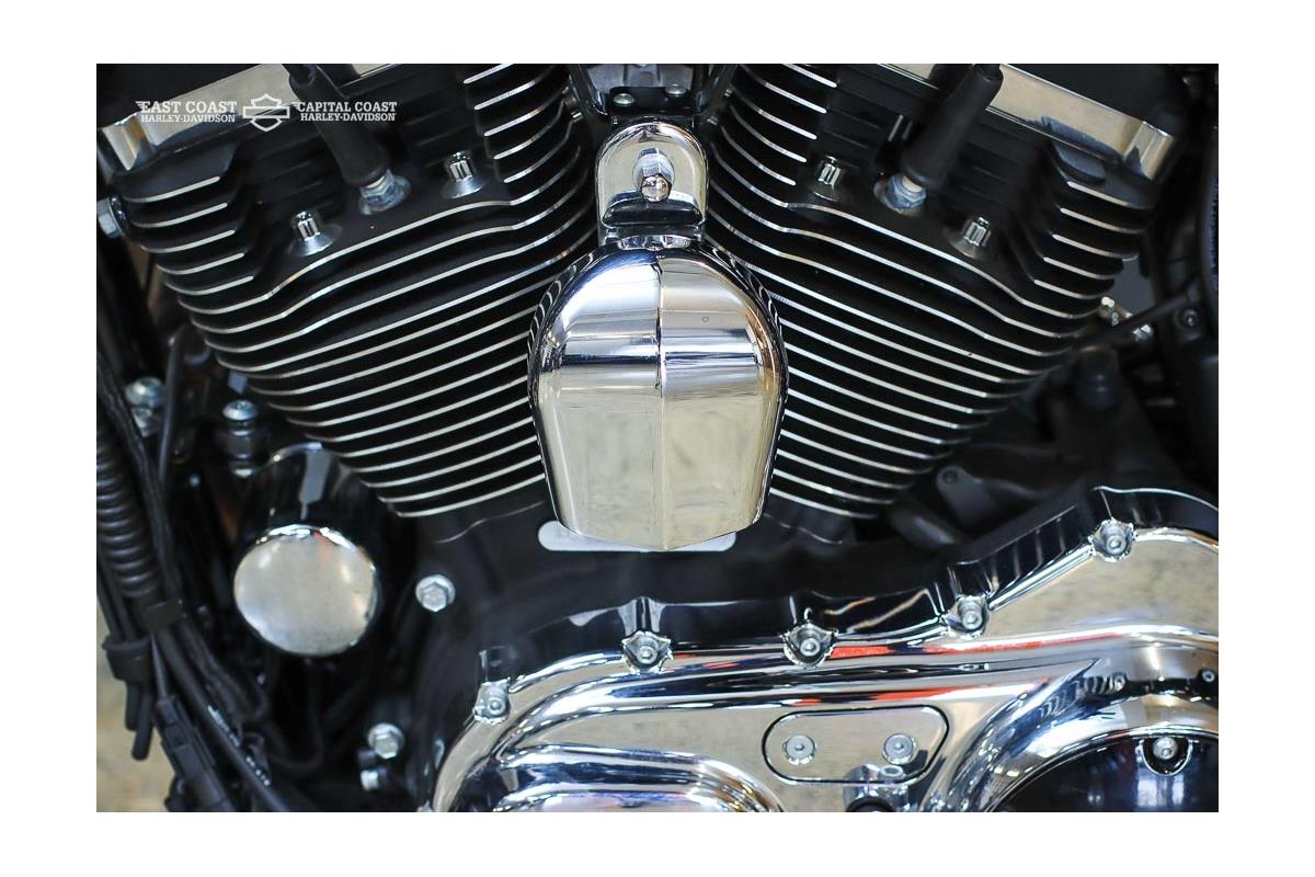 2020 HARLEY-DAVIDSON SPORTSTER 1200 CUSTOM