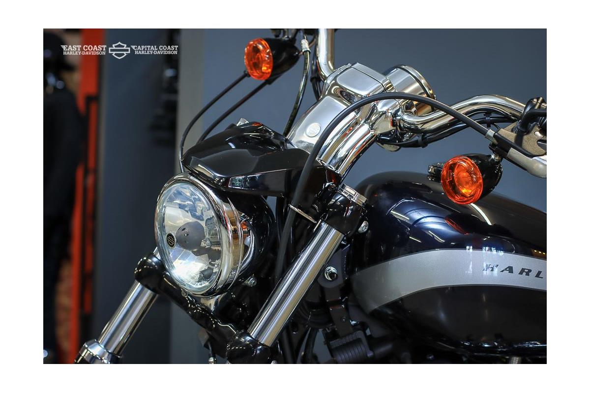 2020 HARLEY-DAVIDSON SPORTSTER 1200 CUSTOM