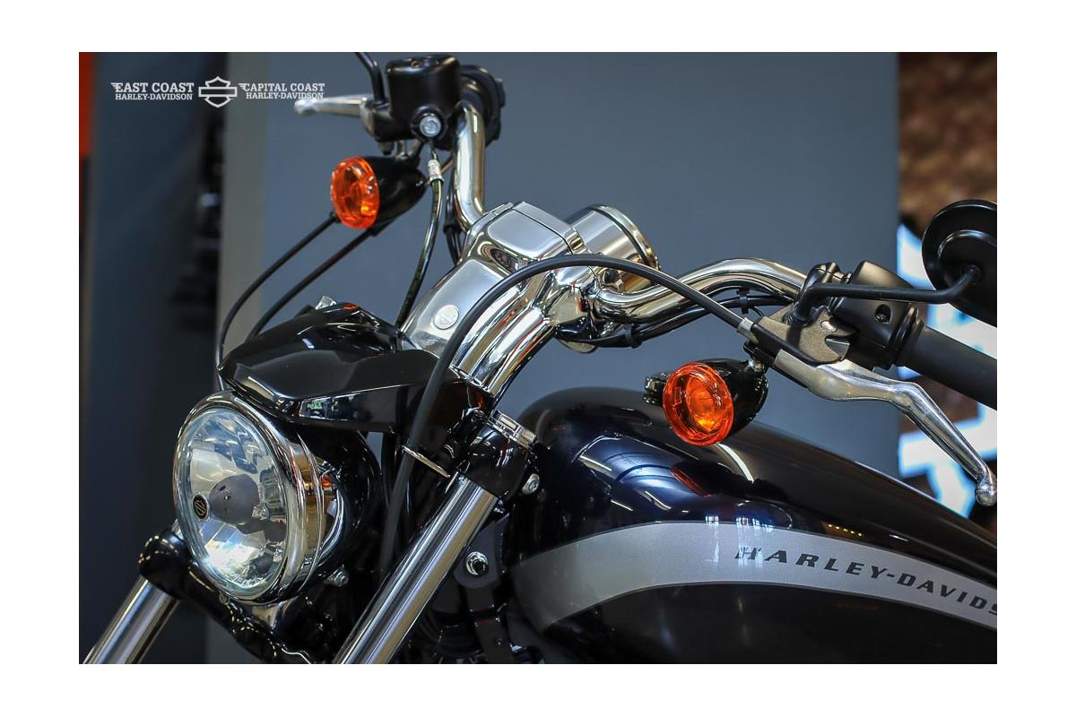 2020 HARLEY-DAVIDSON SPORTSTER 1200 CUSTOM